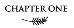 Chapter One Ltd